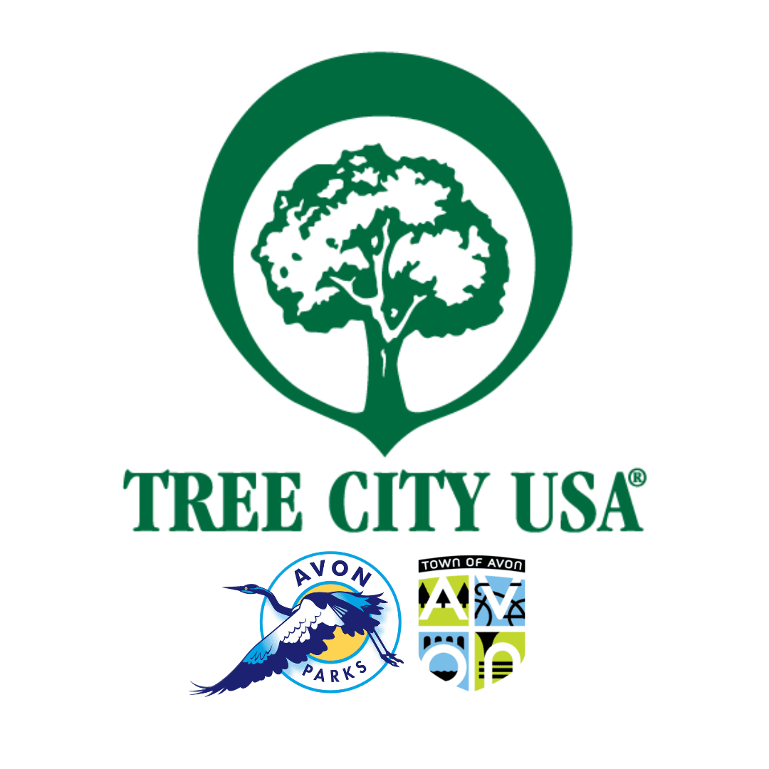 Tree City USA 2023