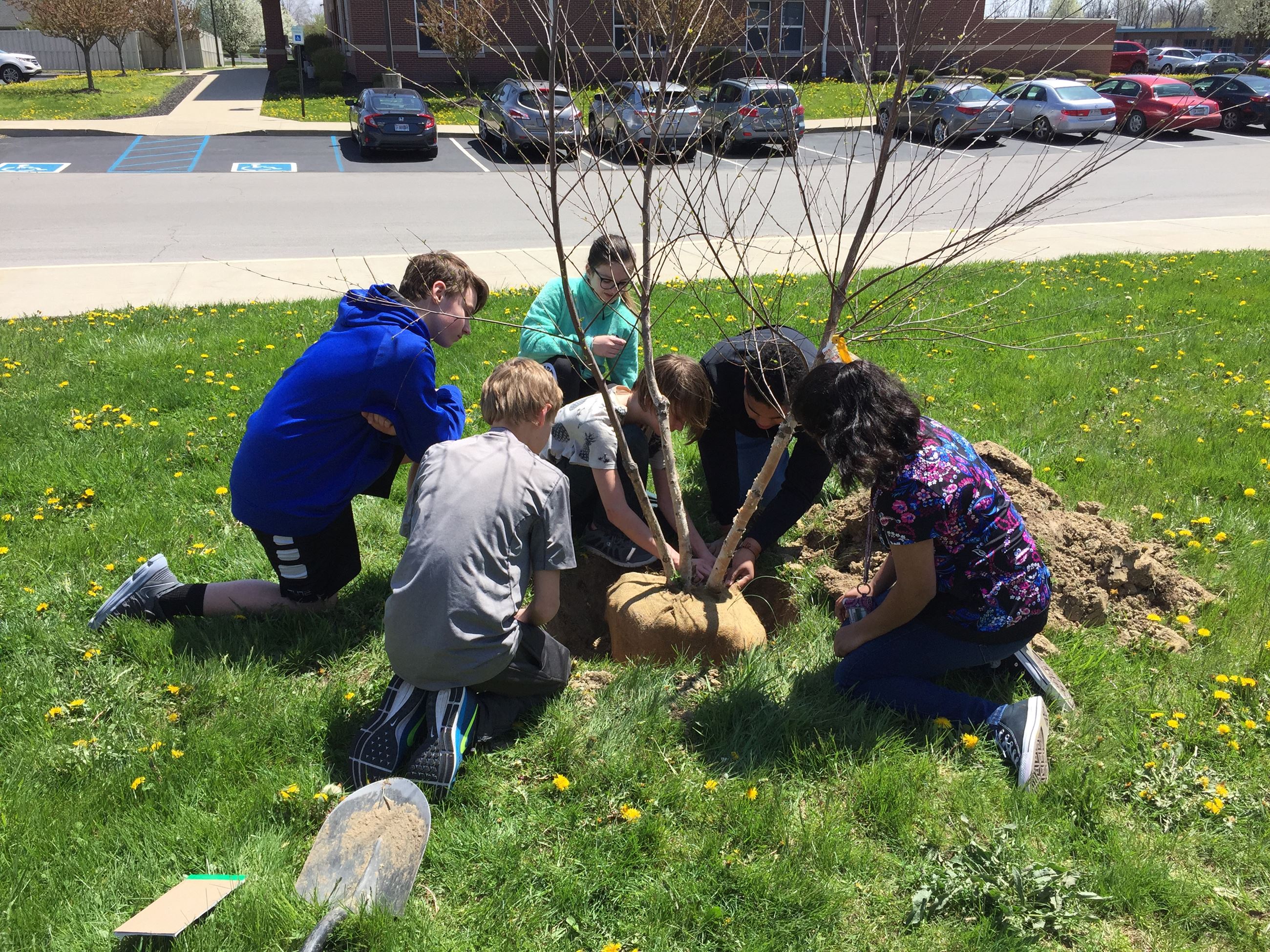 Kids Help in Planting New Tree